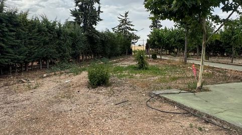 Foto 3 de Casa o xalet en venda a Daimiel, Ciudad Real