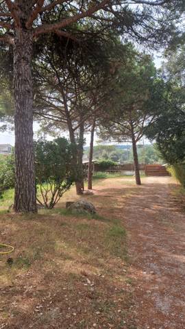 Terreno residencial en Venta en Avinguda Farners, 1 en Santa Coloma de Farners