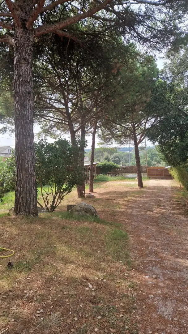 Residential land for sale in Avinguda Farners 1