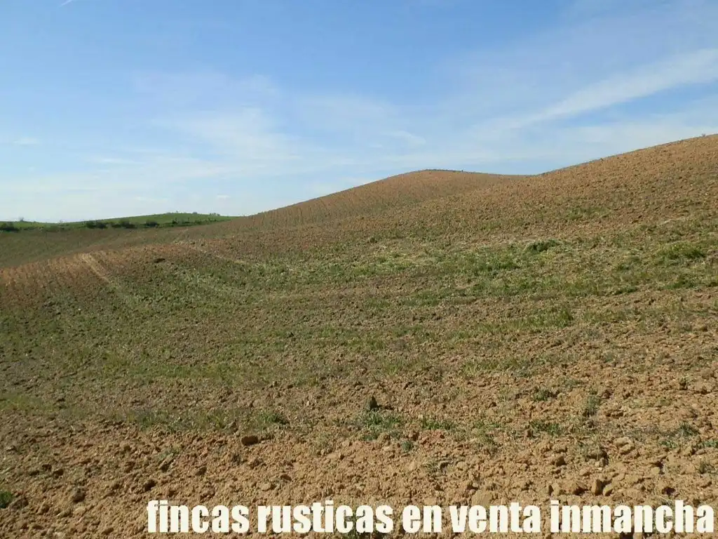 Terreno rustico in vendita a Casco Histórico, imagen 20