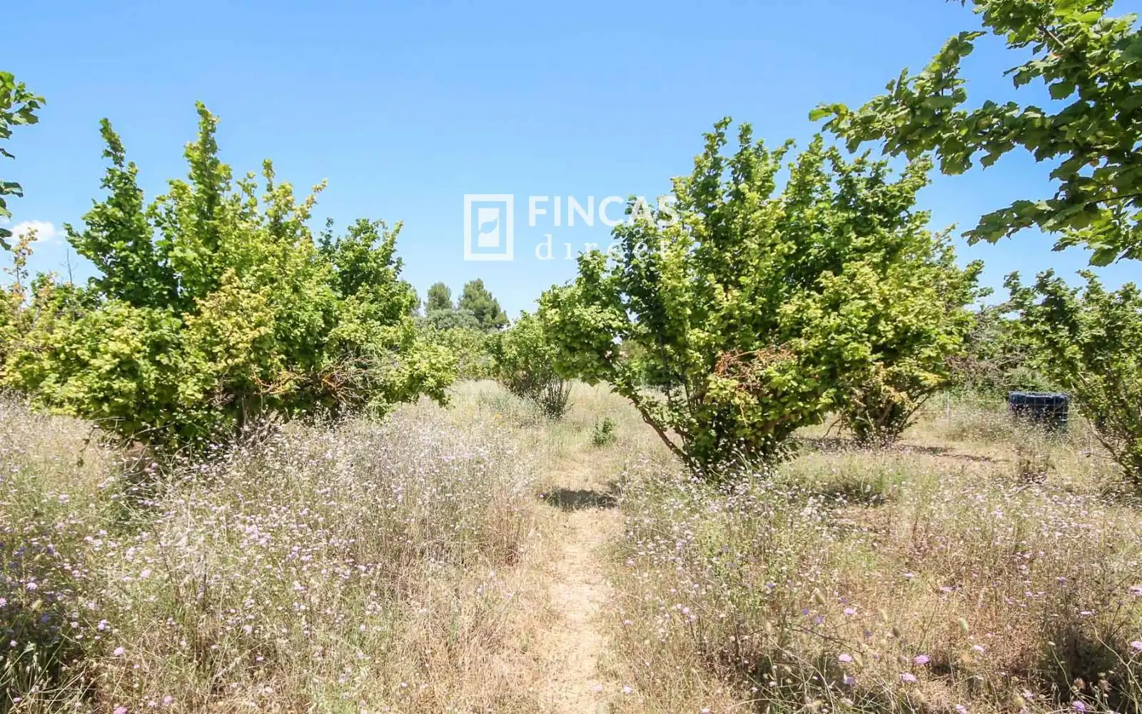 Country homes for sale in Cretas  with Air Conditioner