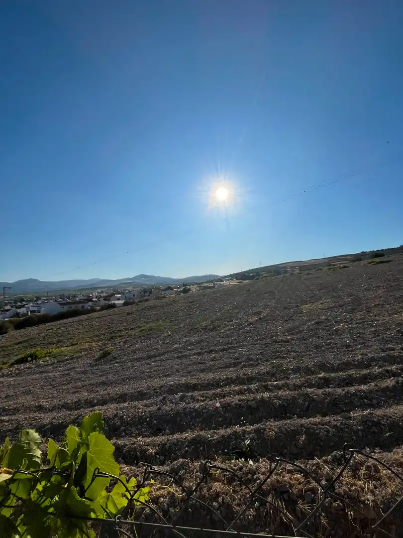 Land for sale in Lucena