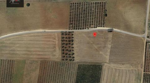 Se vende parcela rustica de 13.800 m2, a pie de carretera.