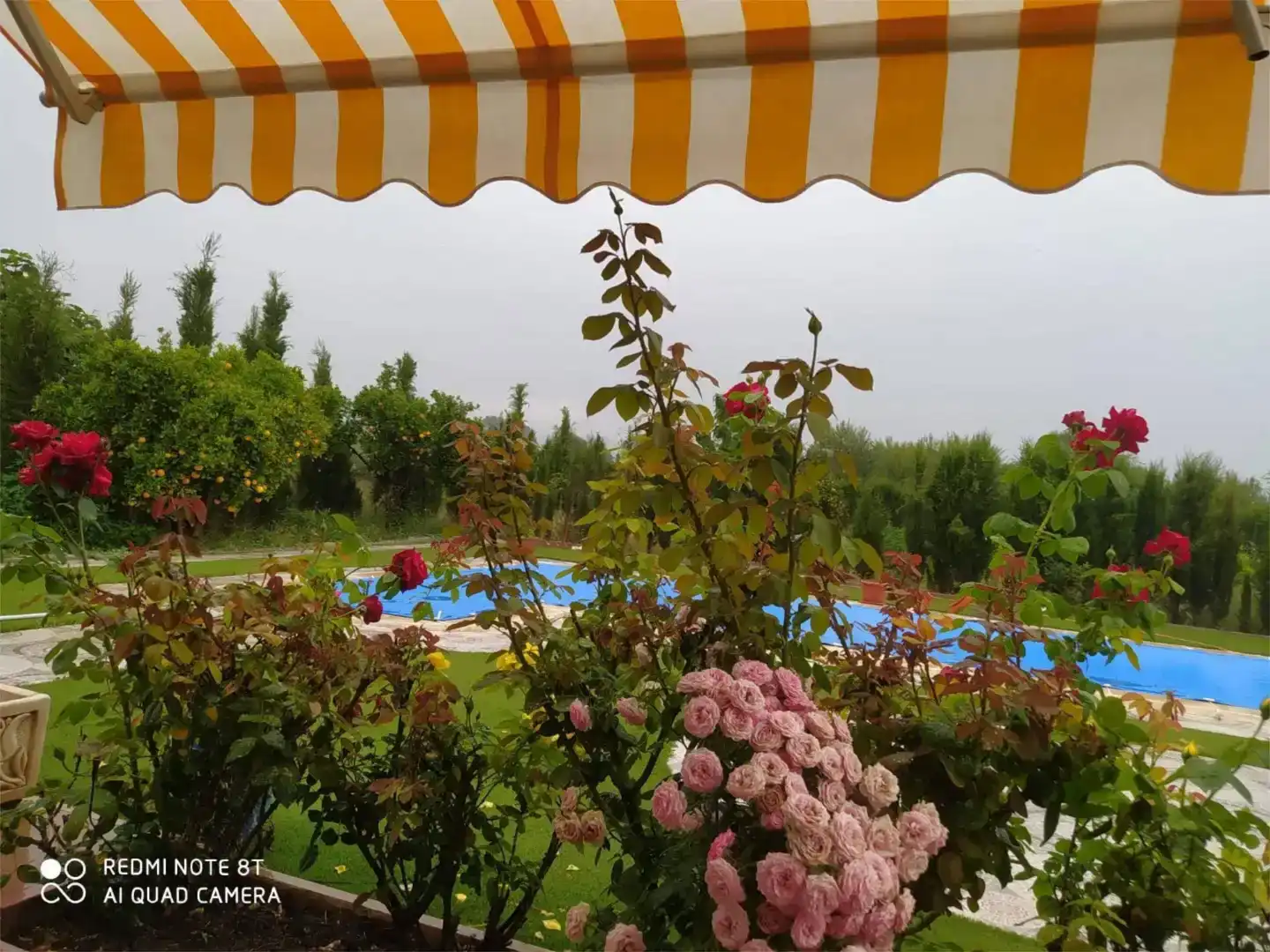 Jardí de Casa o xalet en venda en Totana amb Aire condicionat, Piscina i Balcó