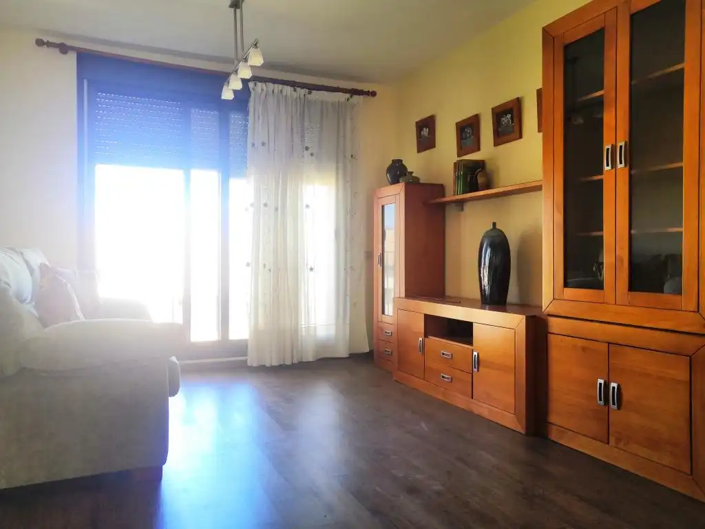 Living room of Flat for sale in La Puebla de Castro  with Heating, Parquet flooring and Terrace