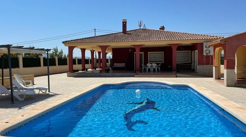 Chalet independiente con piscina y parcela de 17.000 m en Albatera  amplia vivienda familiar