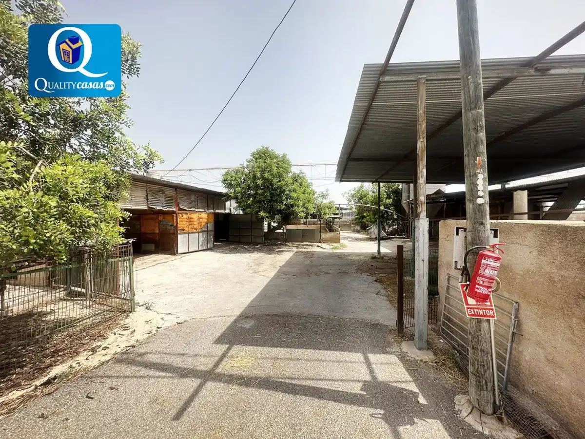 Vista exterior de Casa o chalet en venta en Crevillent con Terraza