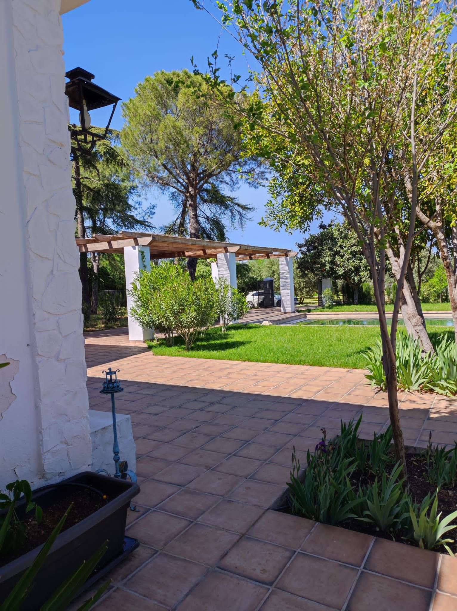 Jardí de Casa o xalet en venda en Ciudad Real Capital amb Aire condicionat, Calefacció i Jardí privat