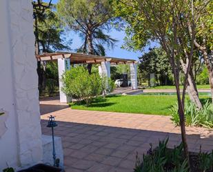 Jardí de Casa o xalet en venda en Ciudad Real Capital amb Aire condicionat i Piscina