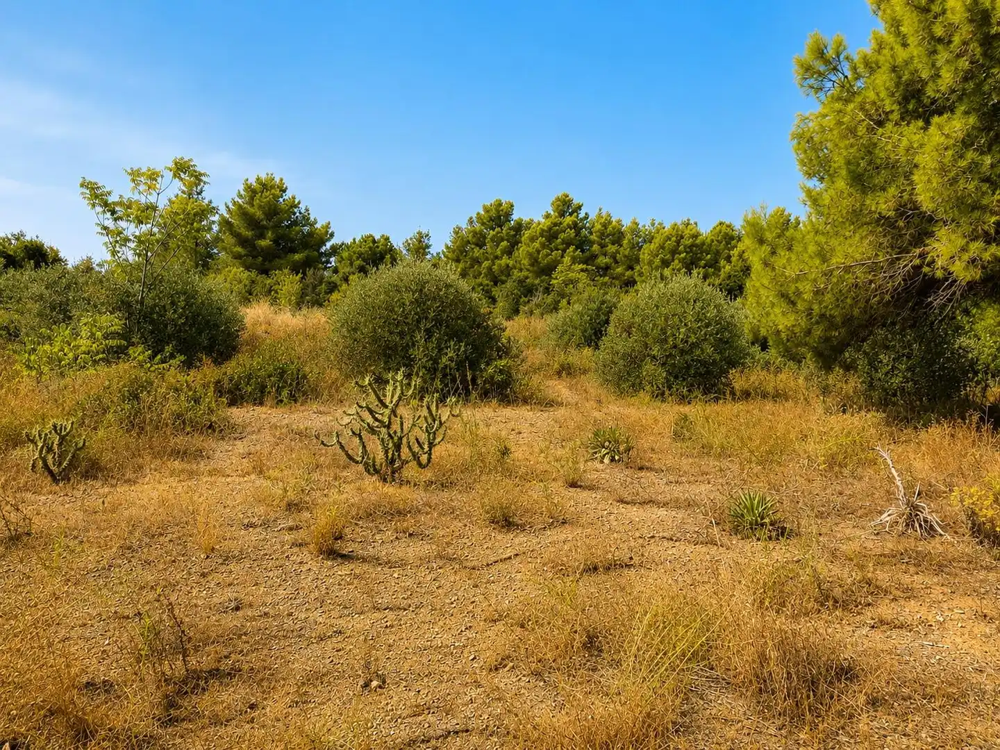 Houses for sale in Maspujols  with Private garden and Storage room