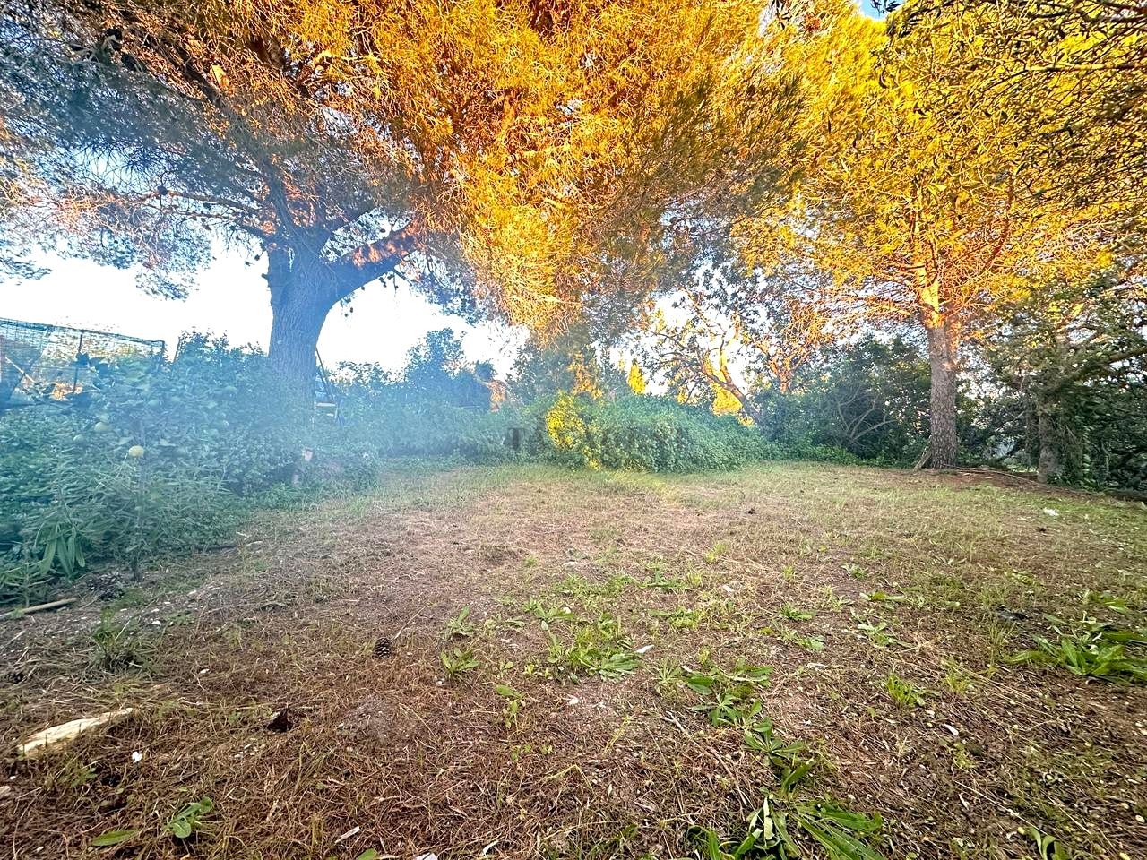 Country house for sale in Amposta  with Swimming Pool