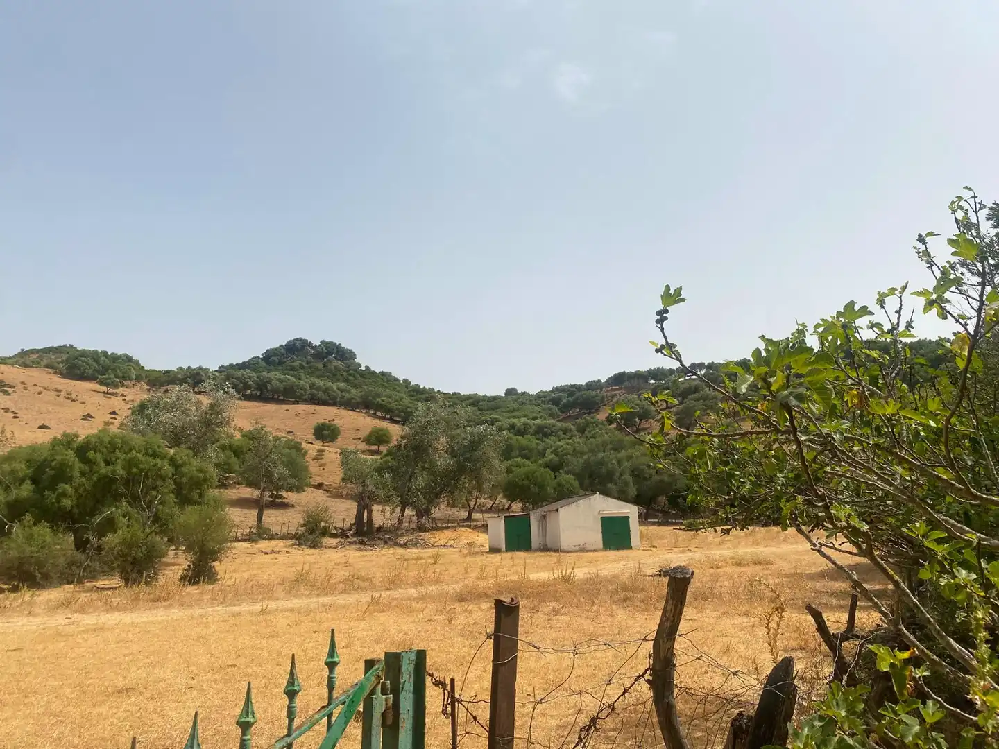 Terreni e lotti in vendita a Alcalá de los Gazules, imagen 38