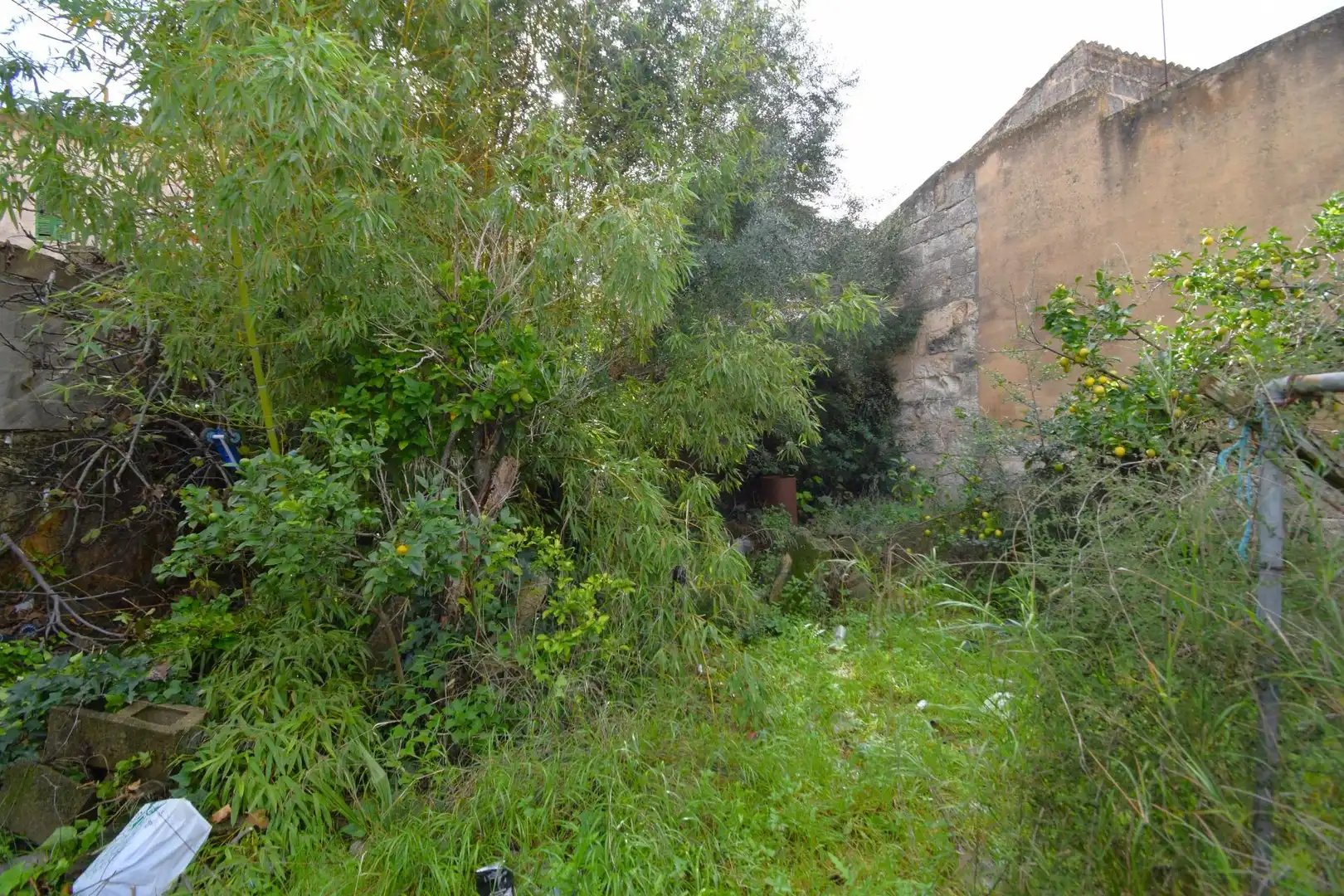 House with garden for sale in Calle Santa Anna, imagen 3