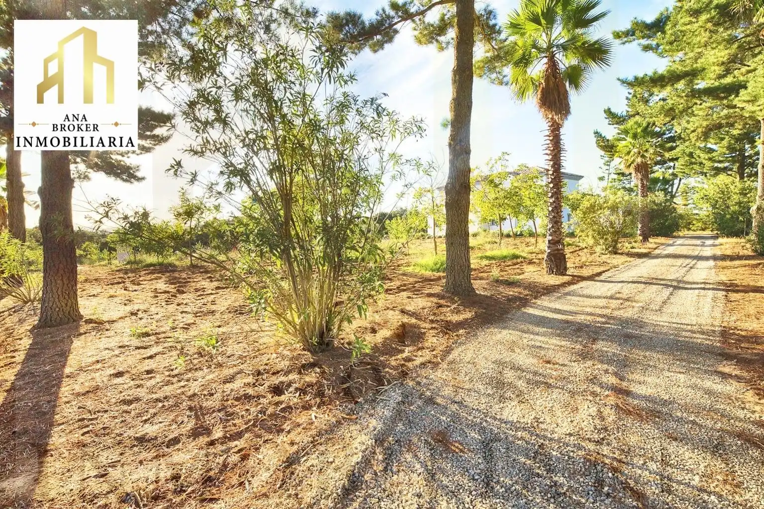 Casa o chalet en venta en Arriate