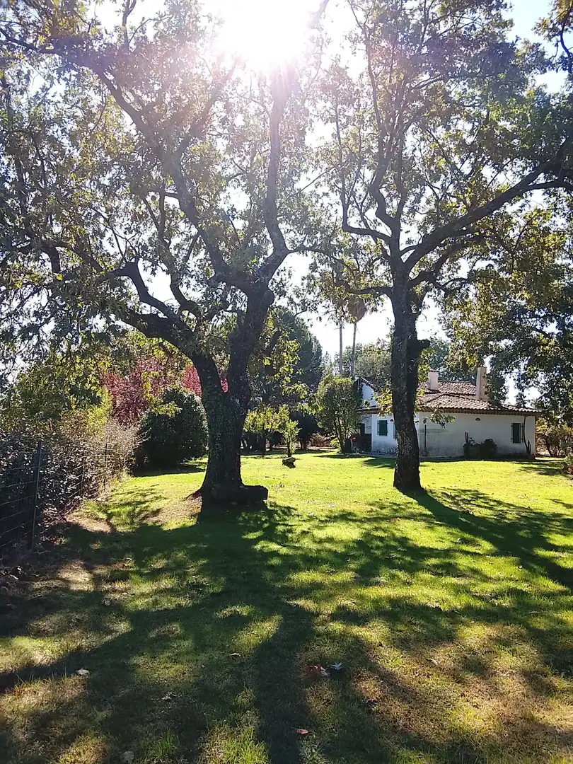 Haus mit Garten zum Verkauf in Madrigal de la Vera, imagen 155