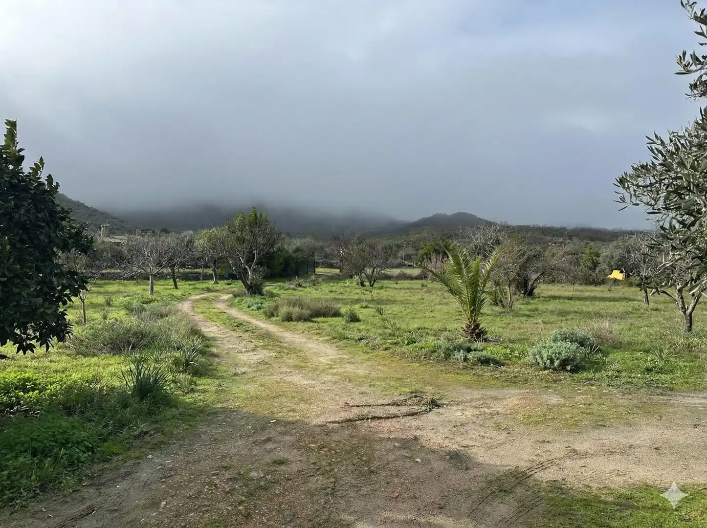 Finca rústica en venta en Montánchez