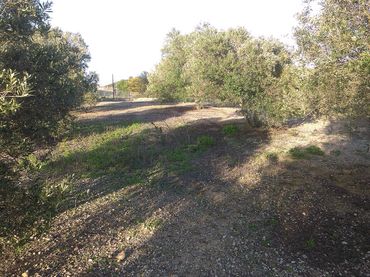 Terreno rustico in vendita a El Retiro - Parque Atlántico - Ronda este