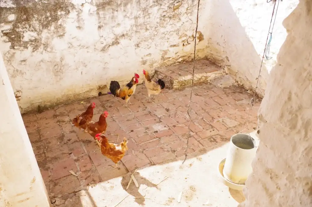 Vista exterior de Finca rústica en venta en Canillas de Aceituno con Terraza