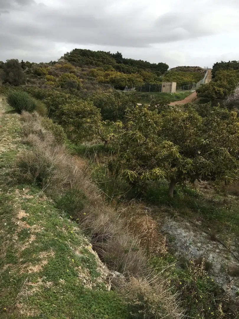 Terrenys i solars en venda a Molvízar, imagen 4