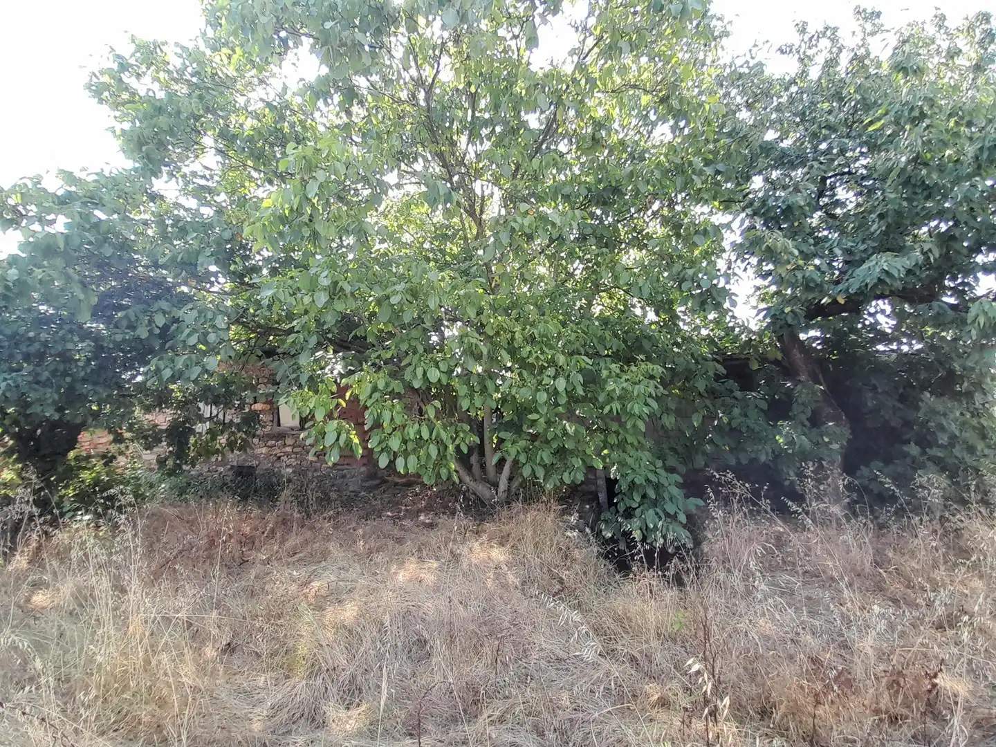 Finca rústica en venta en Congosto con Terraza