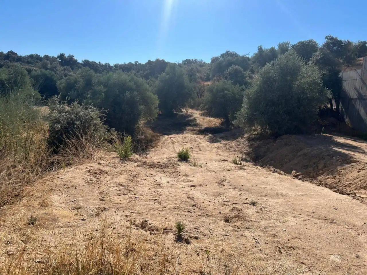 Terrenys i solars en venda a Calle Torcaz, imagen 3