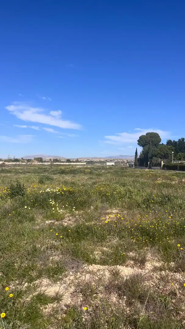 Terrain rustique à vendre à Partida Torrellano Bajo 1110B, imagen 6