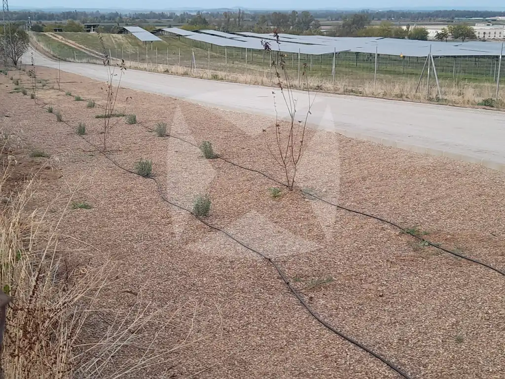 Residential for sale in Urb. Golf Guadiana, 80-18, Golf Guadiana