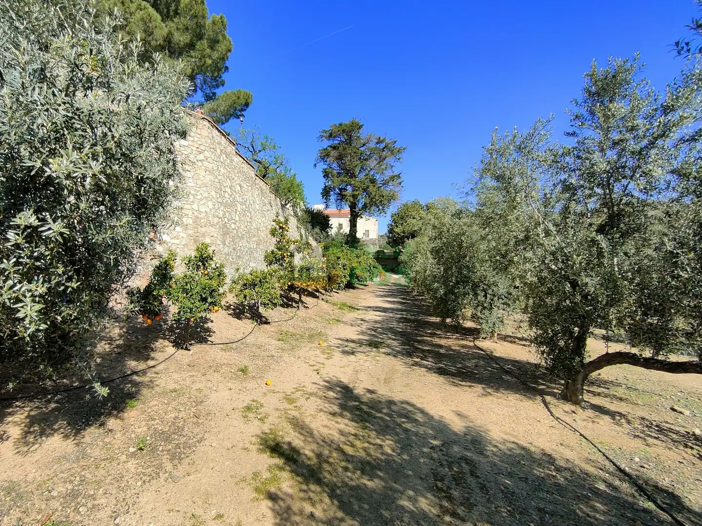 Terreno residenziale in vendita a Carrer dels Escanyets, imagen 6