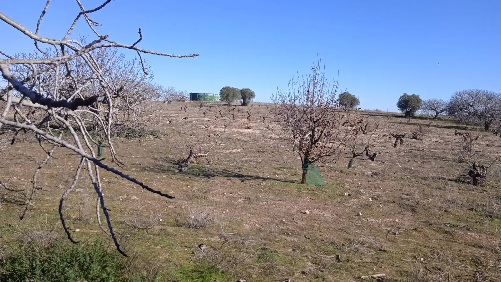 Terreno en venta en Illán de Vacas