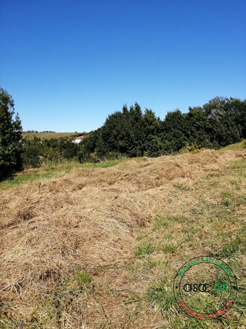 Terreno rustico in vendita a Lugar el Fonduxu, imagen 11