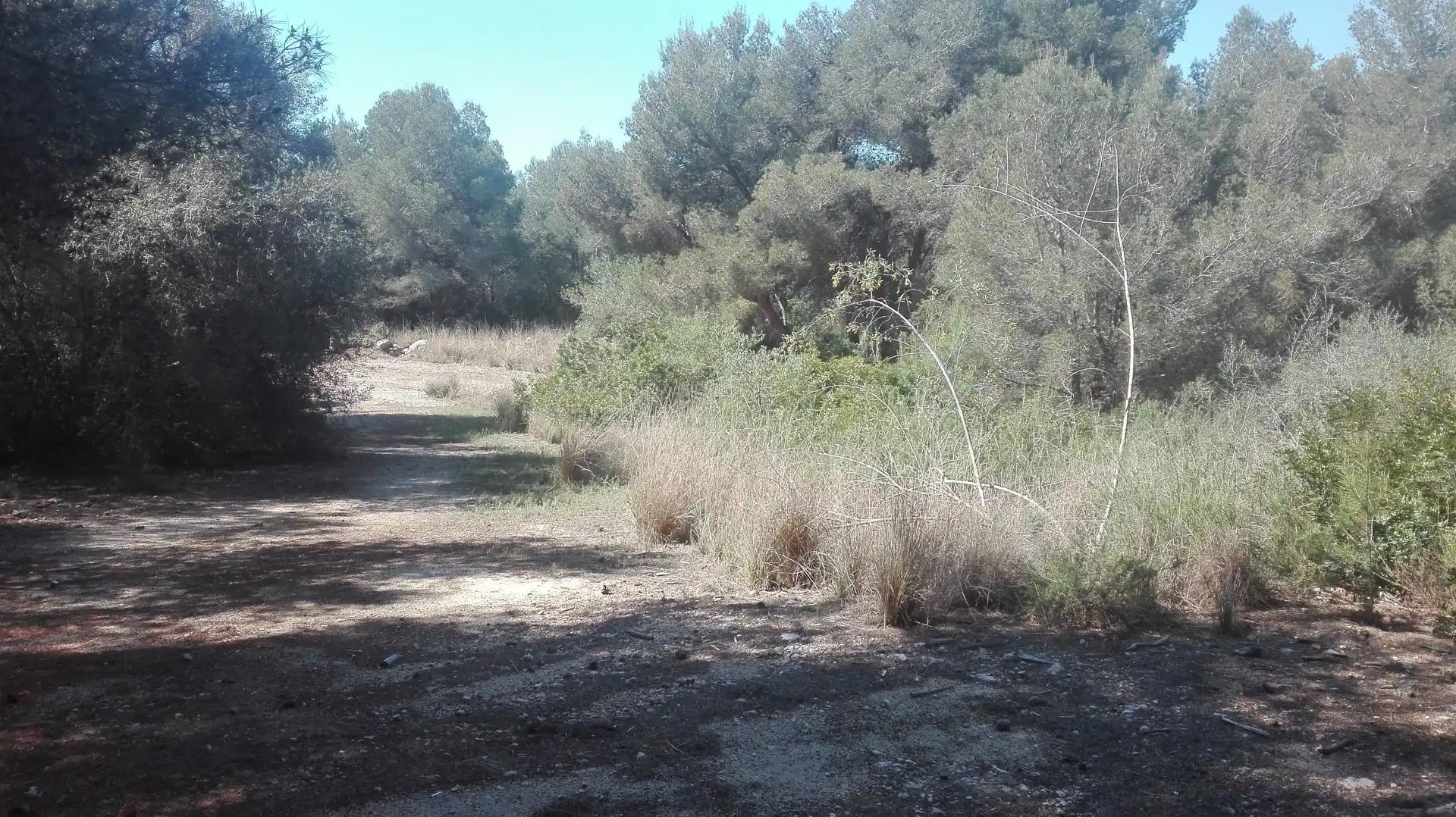 Terreni e lotti in vendita a Urbanitzacions de Llevant, imagen 17