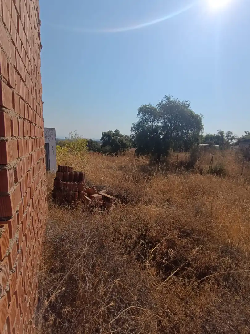 Terreno rustico in vendita a Castilblanco de los Arroyos, imagen 3
