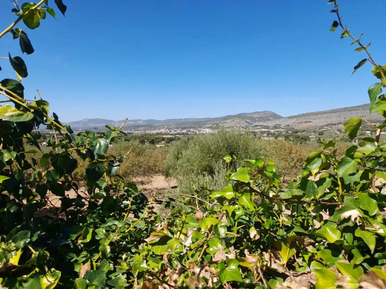Casa con piscina in vendita a Poligono LA DEVESA, imagen 6