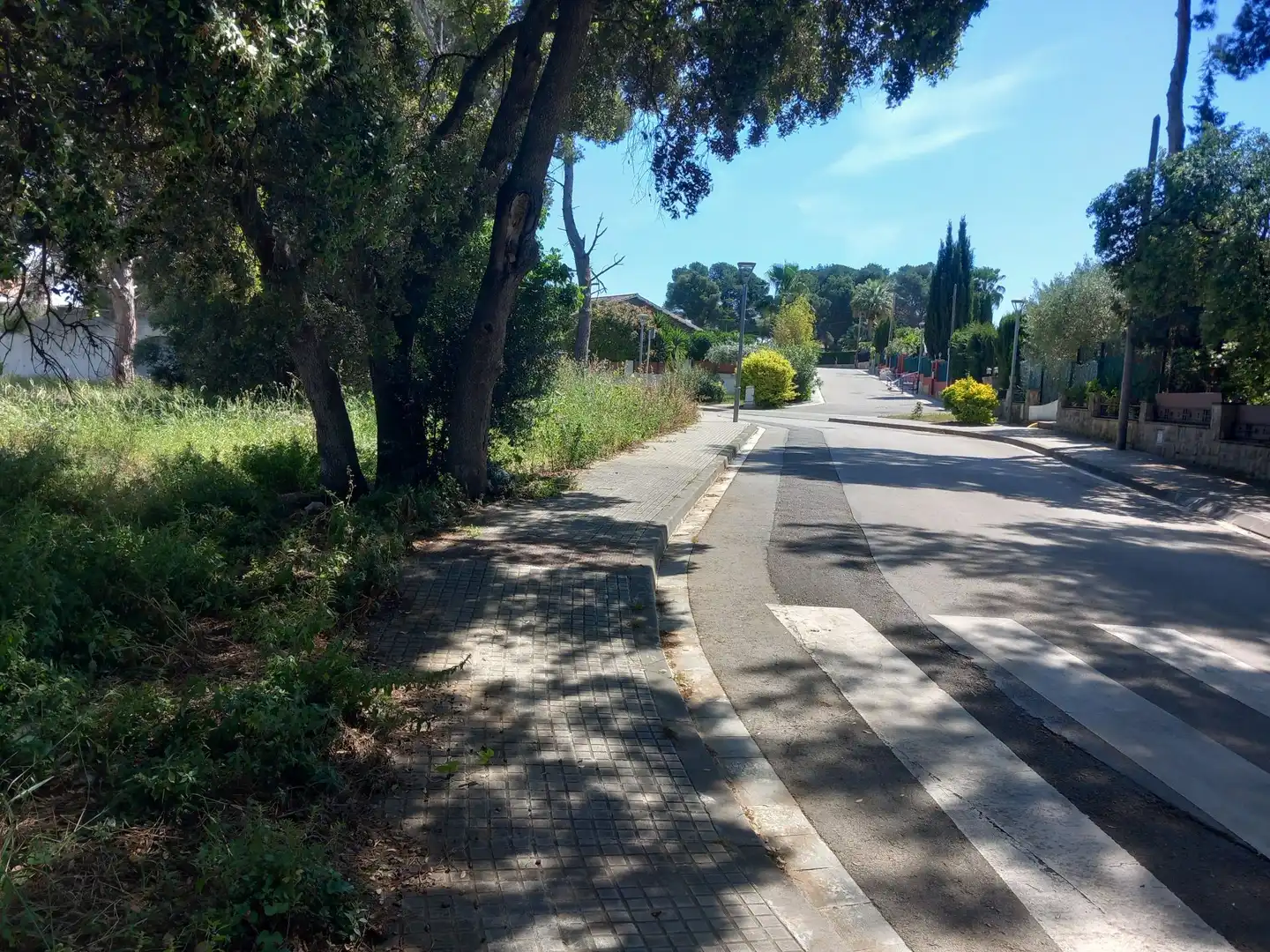 Lands and plots for sale in Banyeres del Penedès, imagen 2