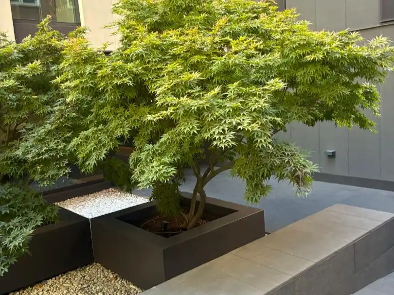 Flat for rent in Paseo de San Francisco de Sales, 15, Vallehermoso