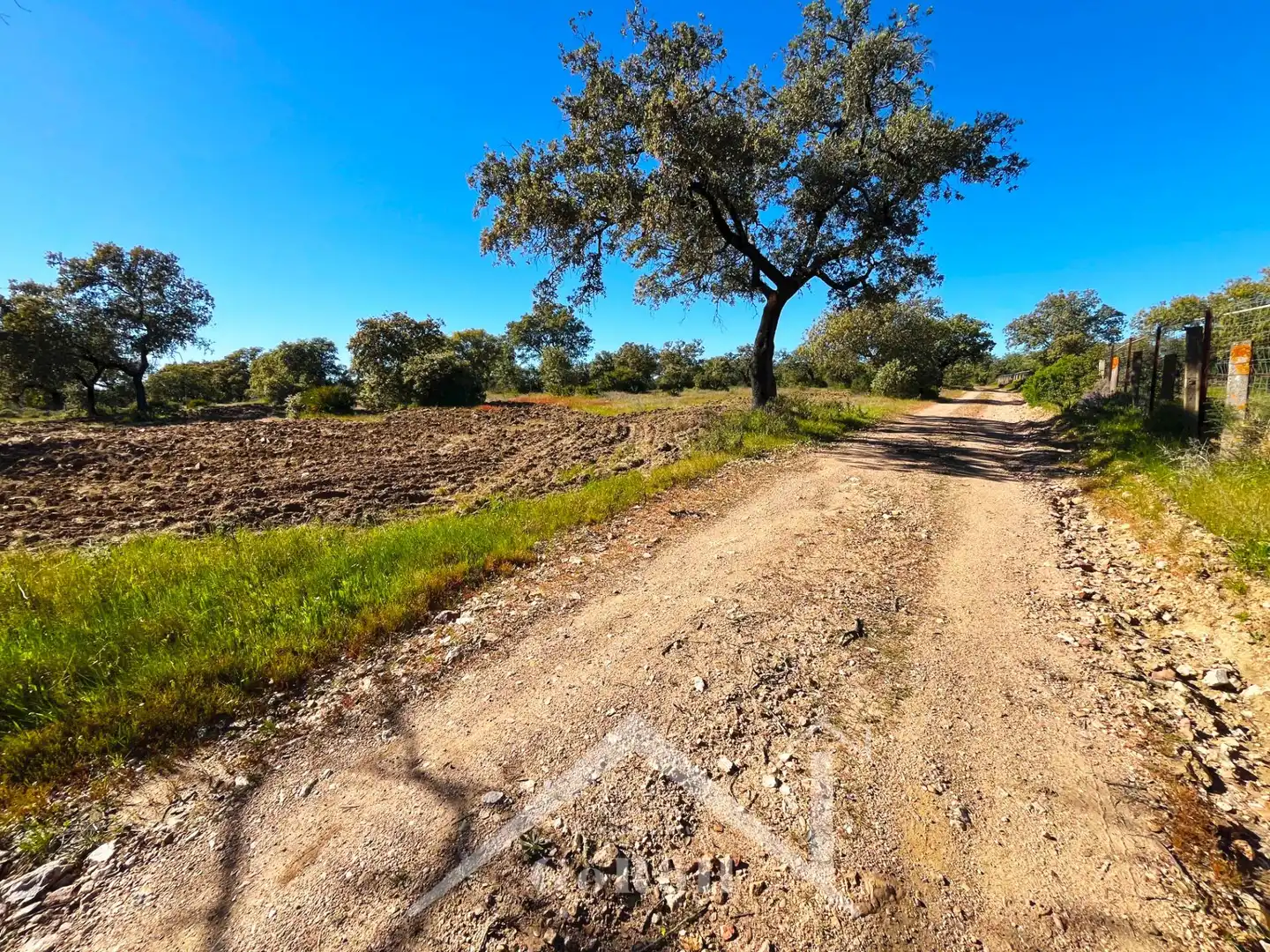 Terreni e lotti in vendita a Castilblanco de los Arroyos, imagen 8