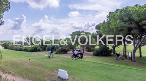 Foto 3 de Finca rústica en venta en Dehesa - Monacilla, Aljaraque