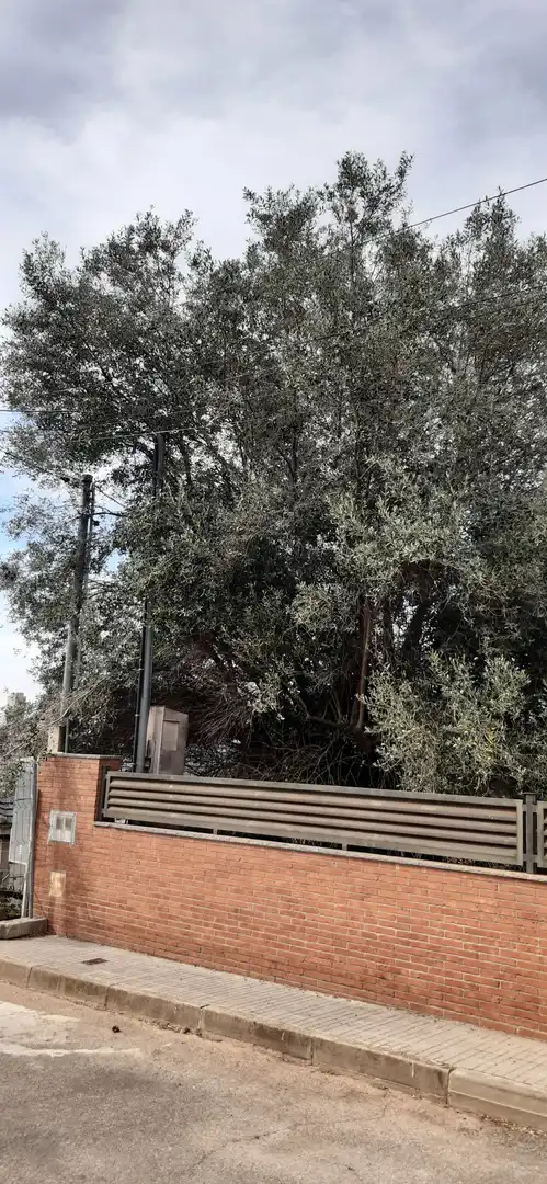 Vista exterior de Casa o xalet en venda en Vacarisses amb Jardí privat, Terrassa i Piscina