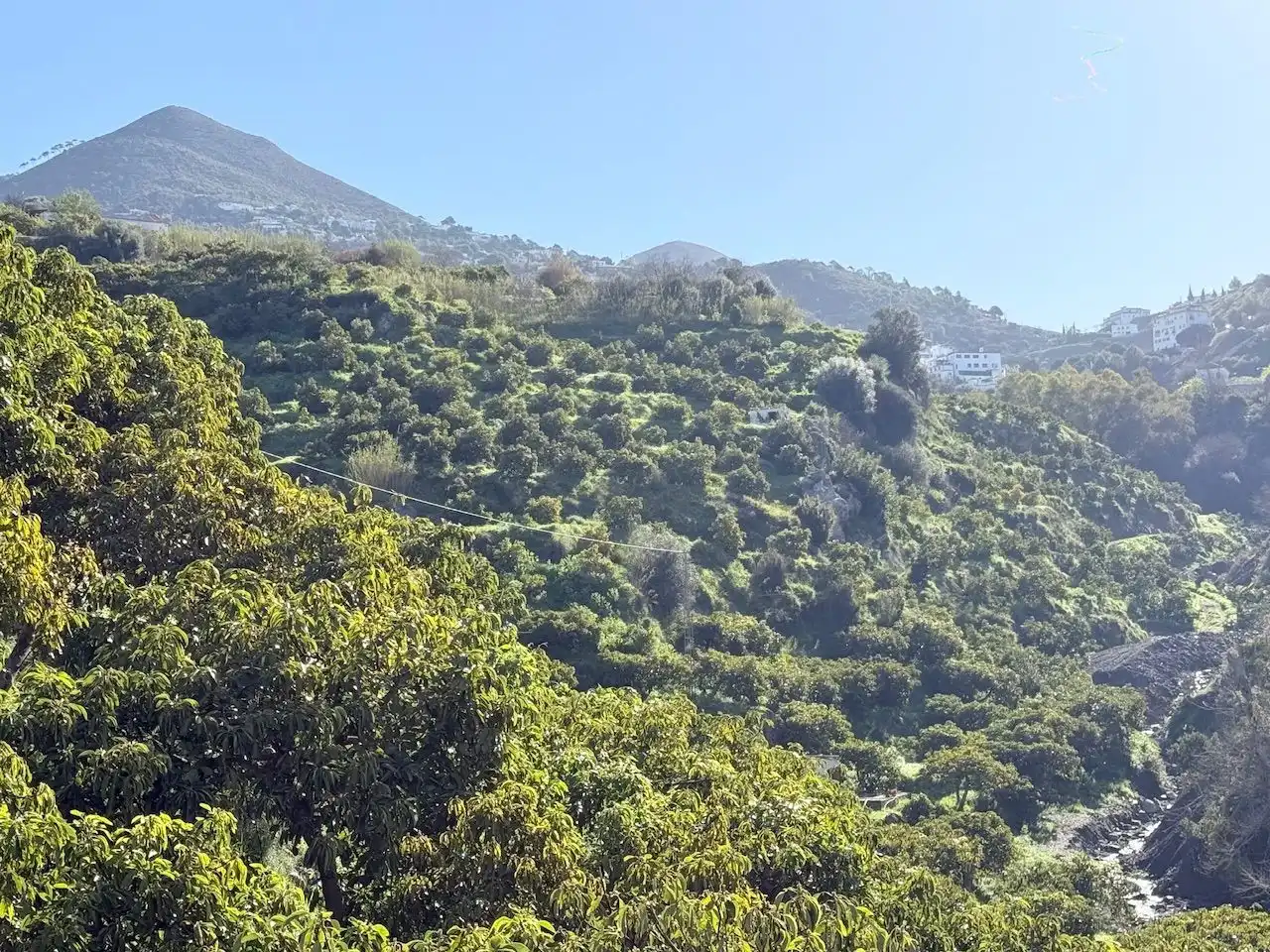Land for sale in Canillas de Albaida
