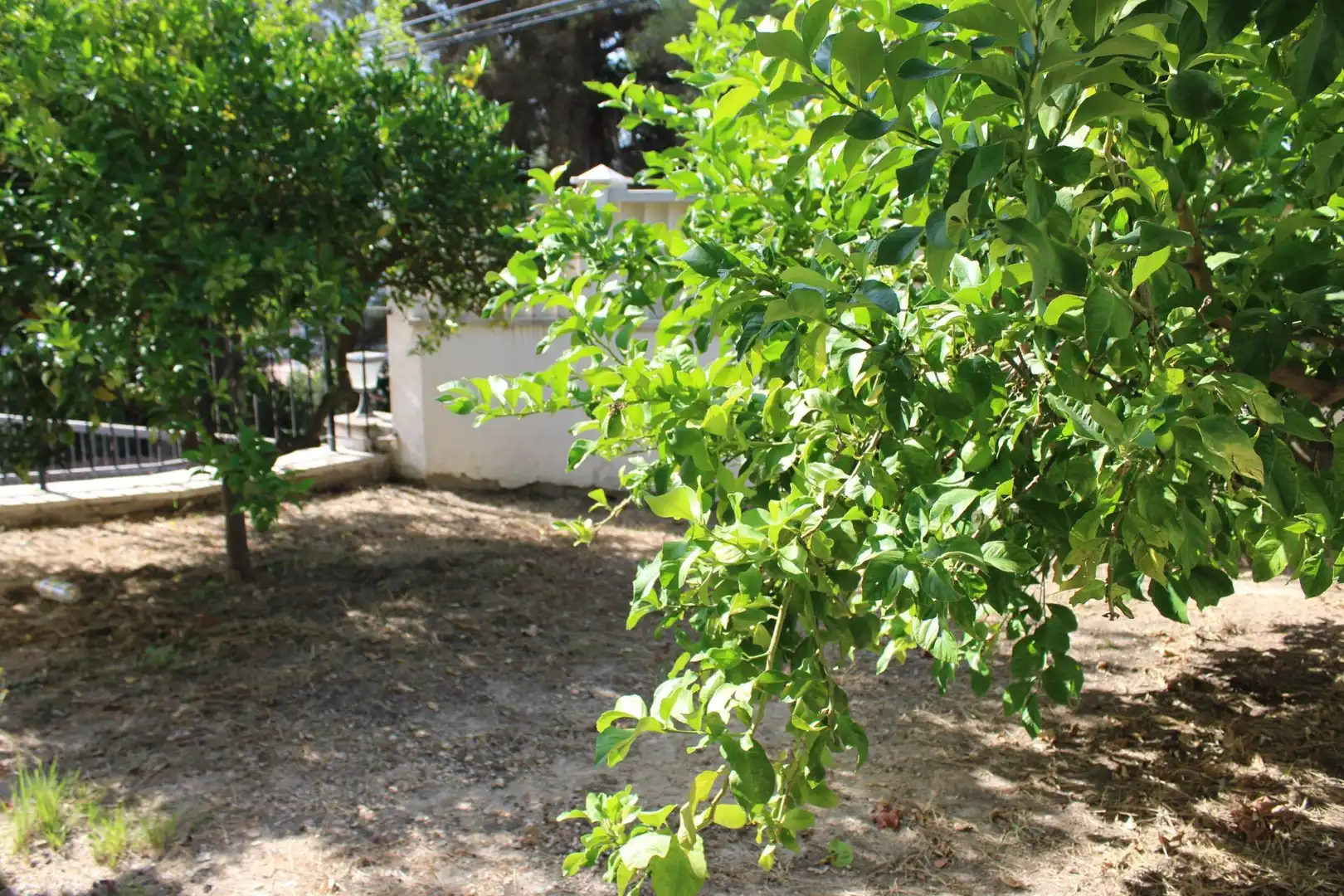 Villa à vendre à Oliva pueblo, imagen 52