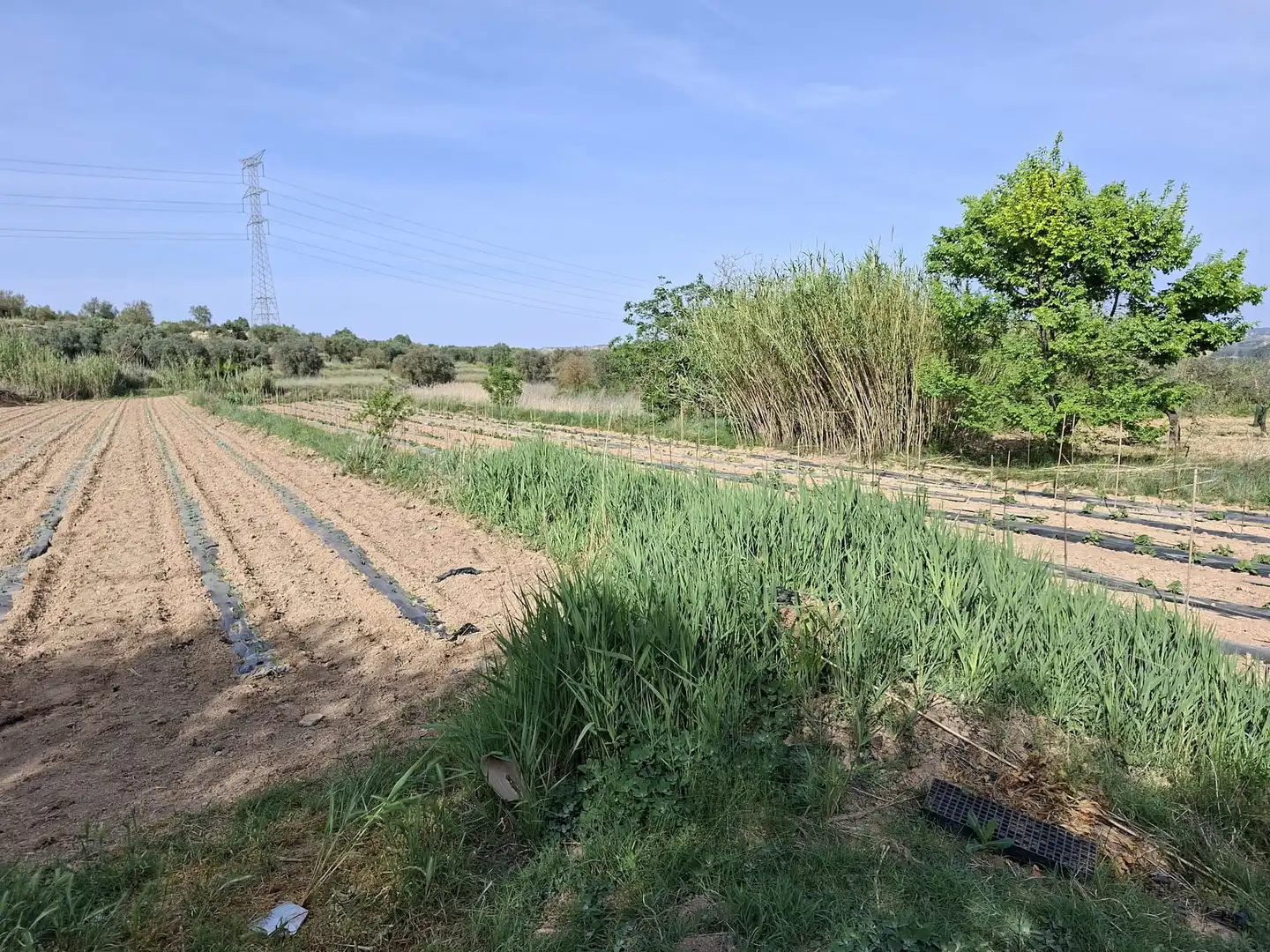 Finca rústica en venda en Caspe