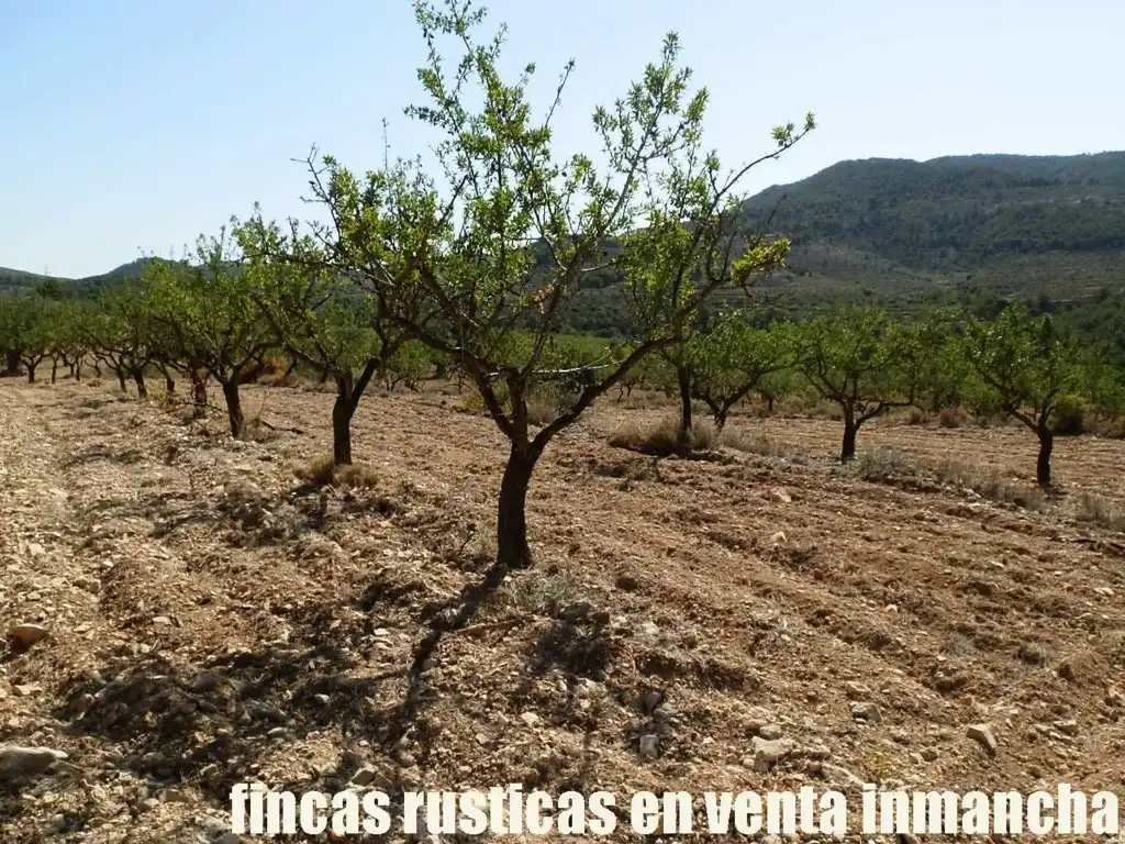 Terreny rústic en venda a Jijona / Xixona, imagen 5