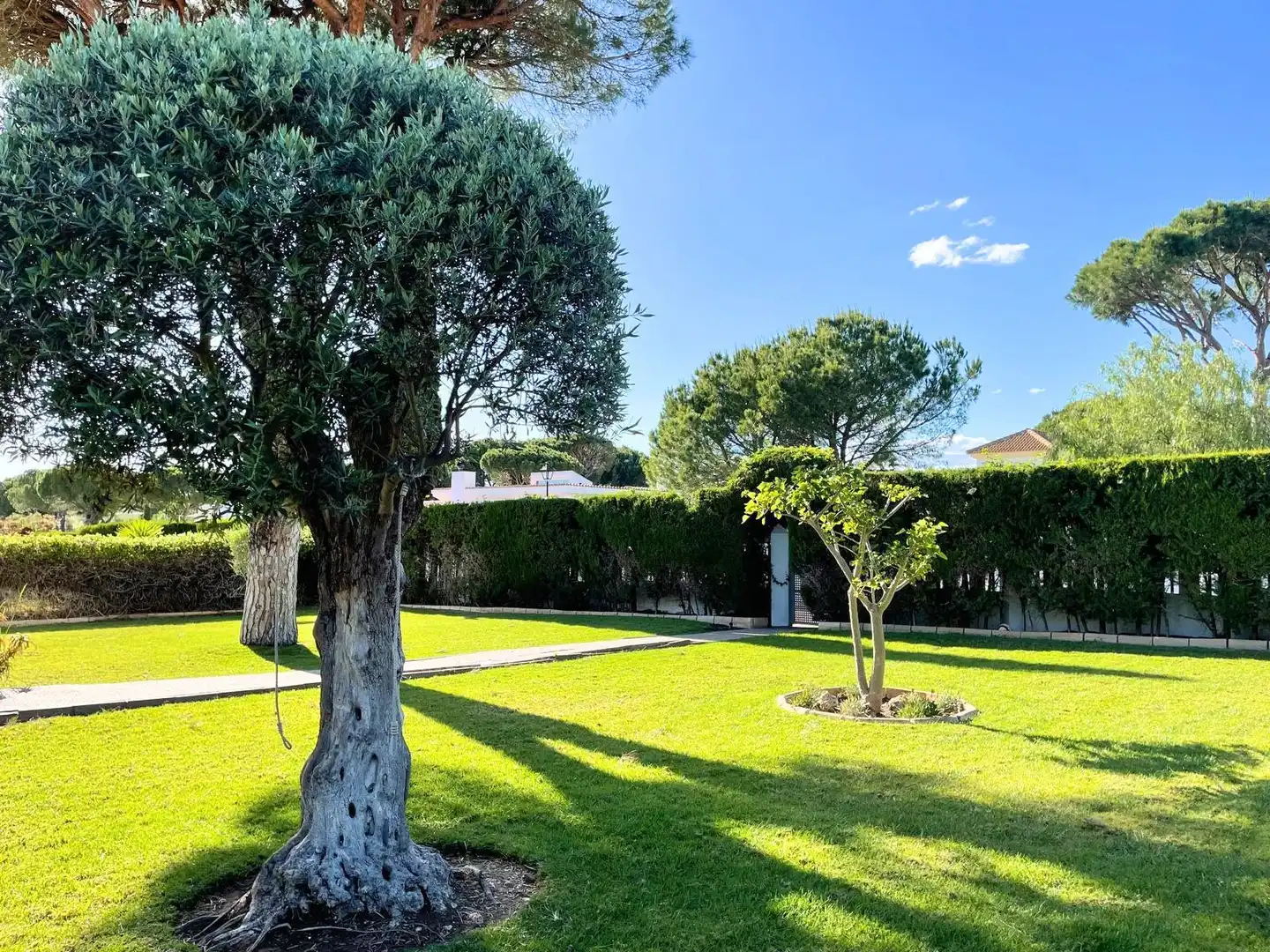 Garten von Haus oder Chalet zum Verkauf in Aljaraque mit Klimaanlage, Heizung und Privatgarten