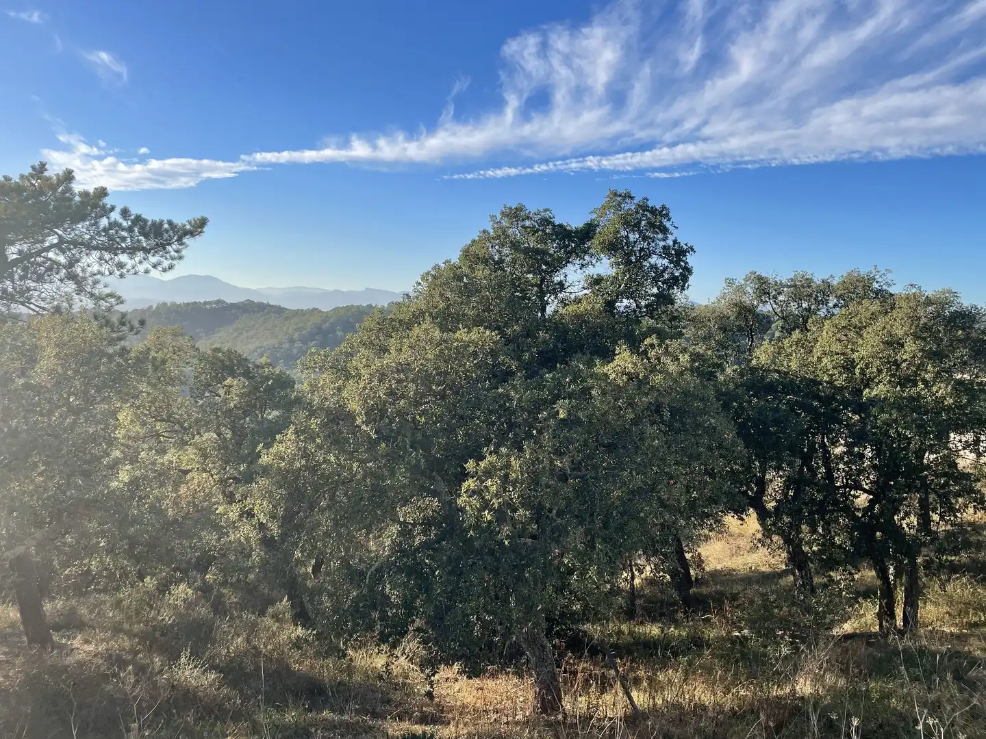 Vista exterior de Finca rústica en venta en Quart con Calefacción, Jardín privado y Parquet