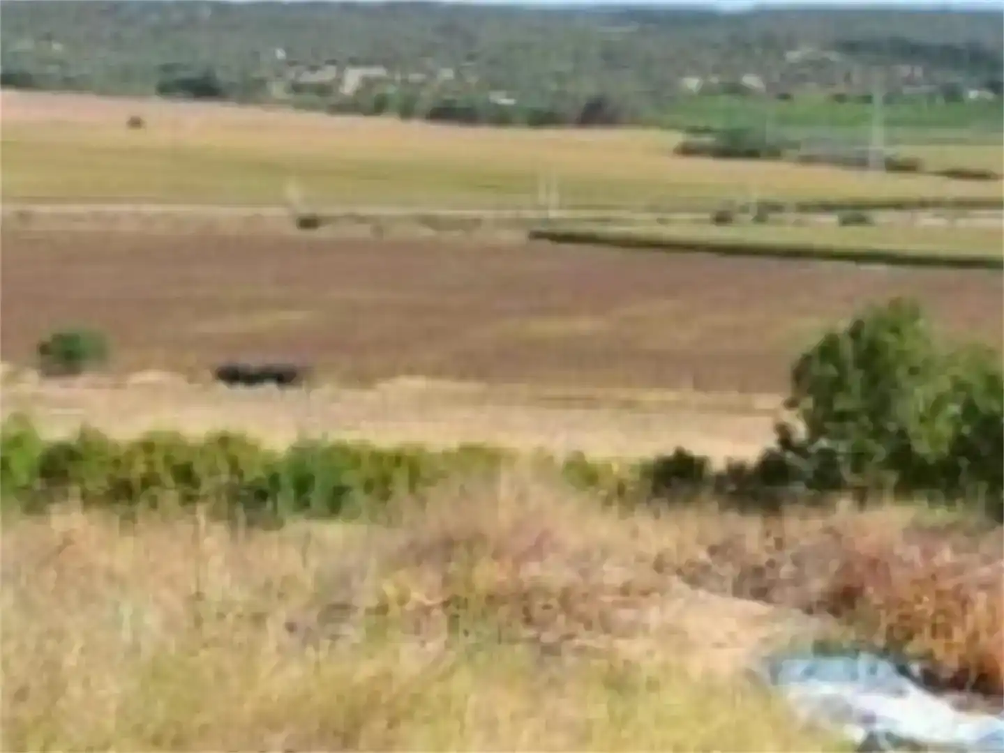 Finca rústica en venta en Peñaflor