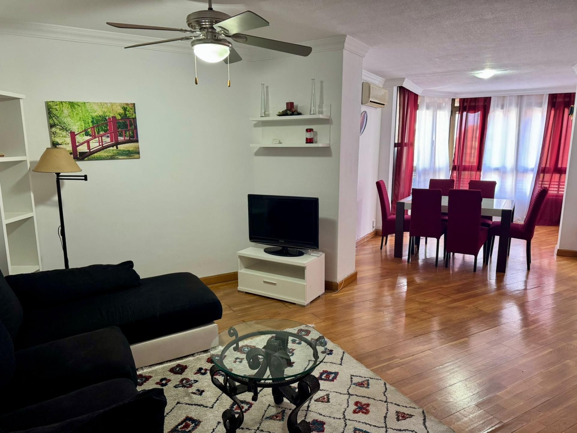 Living room of Flat for rent in Alicante / Alacant  with Heating and Furnished