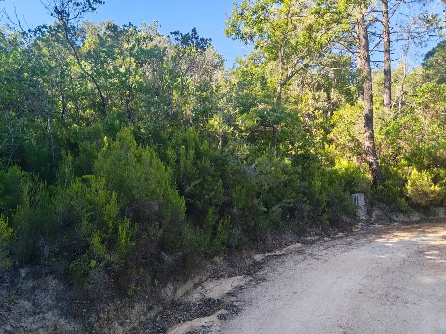 Terreno rustico in vendita a N/A, imagen 5