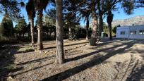 Vista exterior de Casa o xalet en venda en Alcanar amb Jardí privat i Terrassa