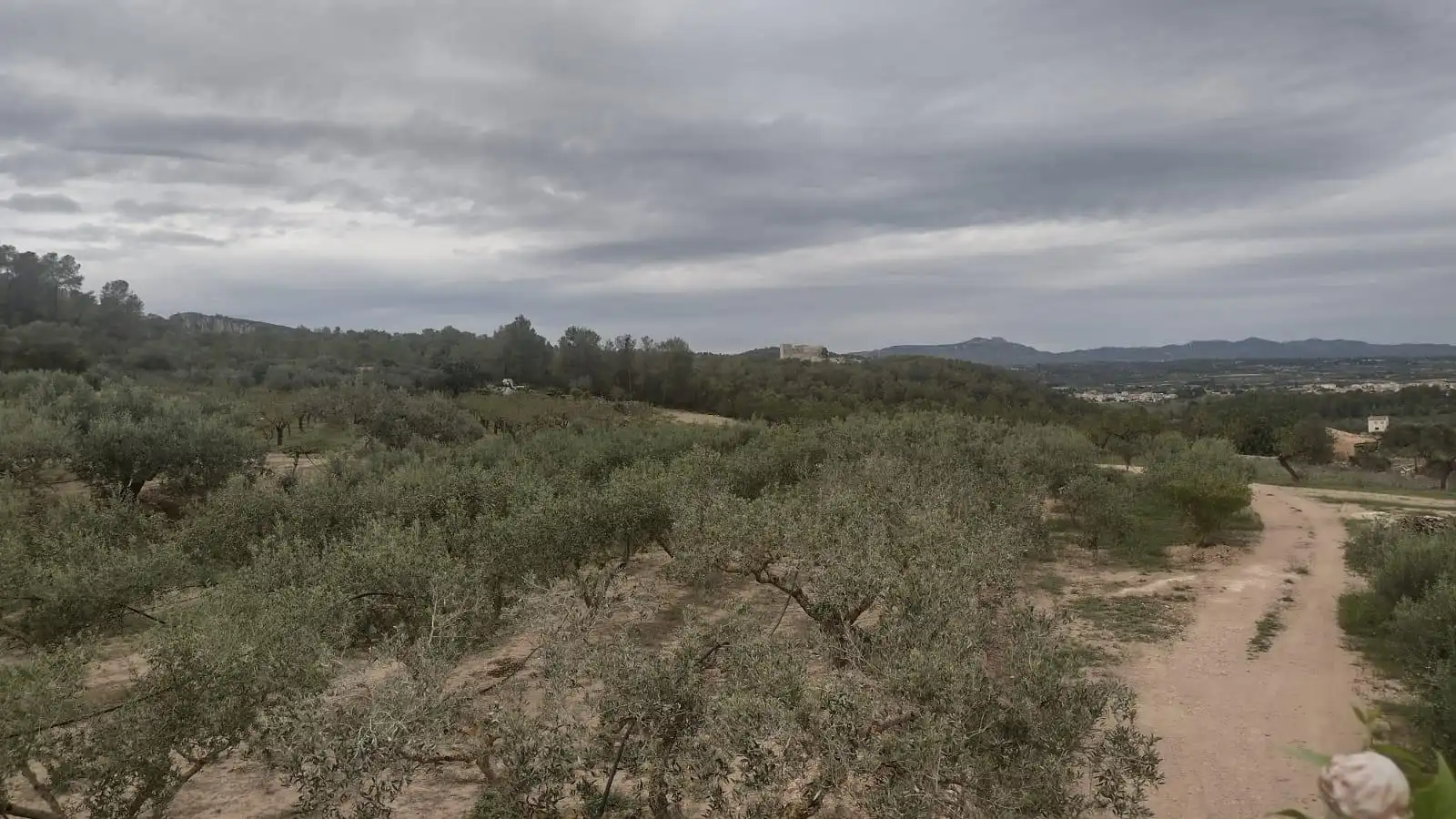 Terreny rústic en venda a Miravet, imagen 4