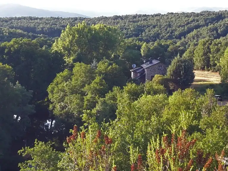 Maison avec jardin à vendre à Calle Reverendo Matías Castellano 139